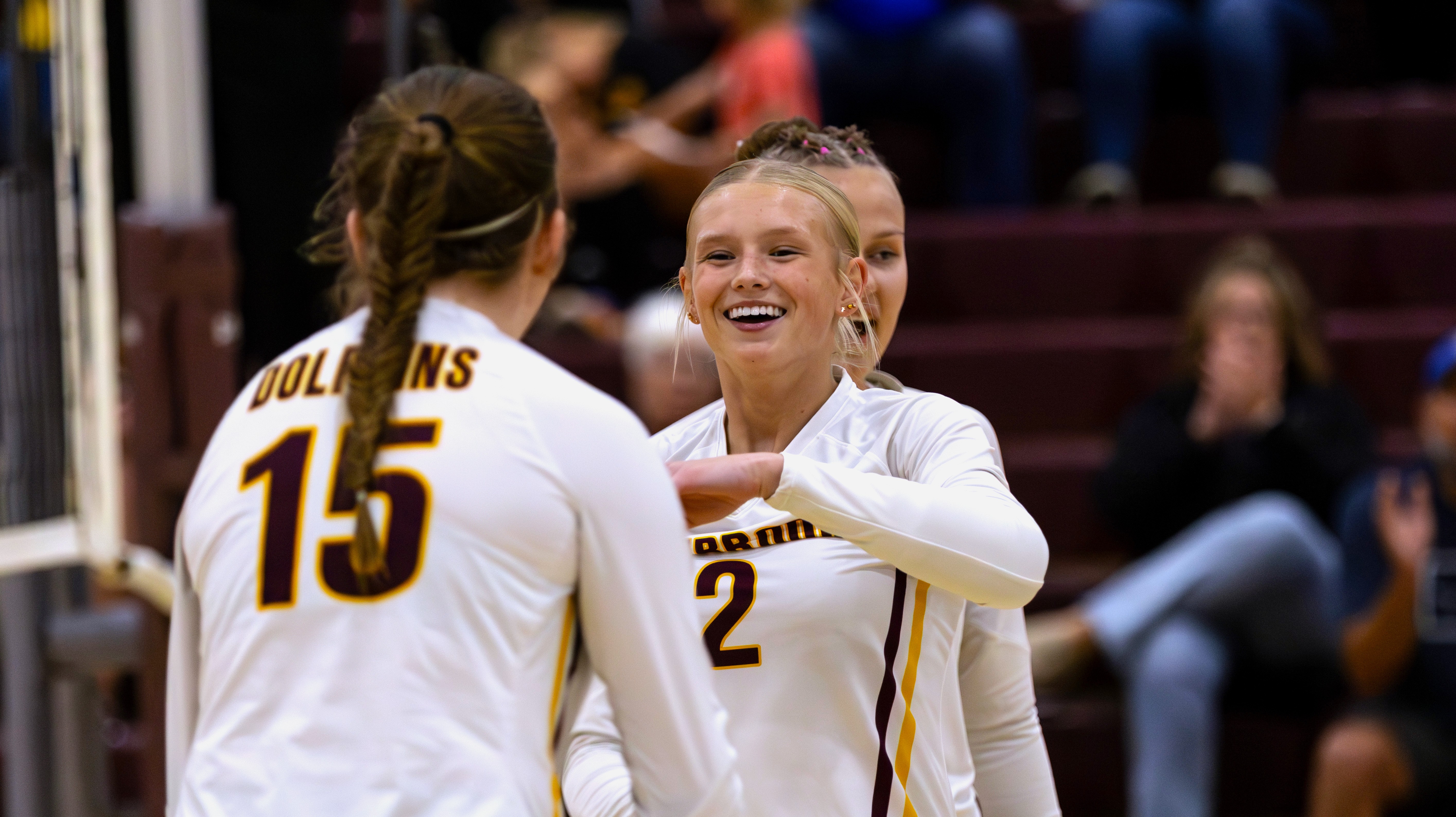 PHOTO GALLERY: HS Volleyball - Sioux Valley at Deubrook Area